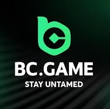 Unlocking Rewards A Comprehensive Guide to BC.Game Bonus Codes